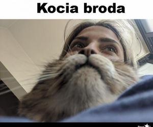 Memy o brodzie z okazji Światowego Dnia Brody