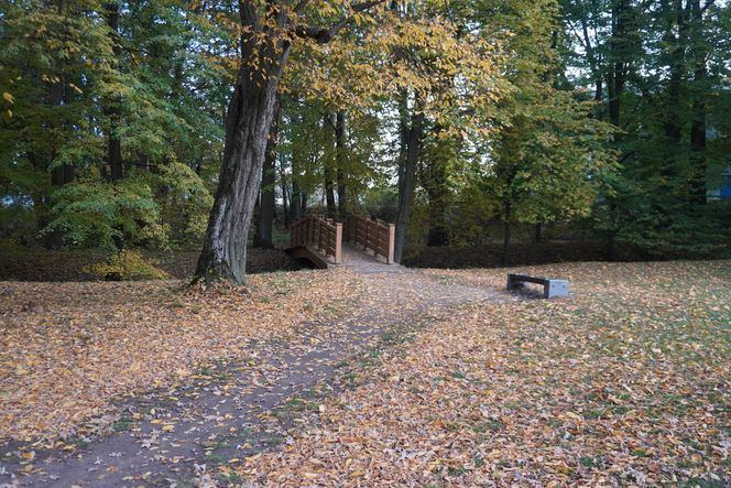 Park Lubomirskich w Białymstoku jesienią 