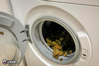 Marihuana była nawet w wannie i pralce! Służby zatrzymały gang narkotykowy