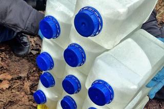 Akcja kryminalnych w lesie pod Toruniem. 44-latek zakopał tam narkotyki