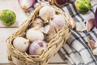 Cebula i czosnek 