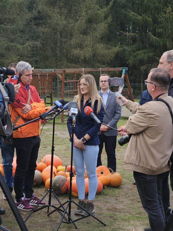 Nutrie w Rybniku są już odławiane