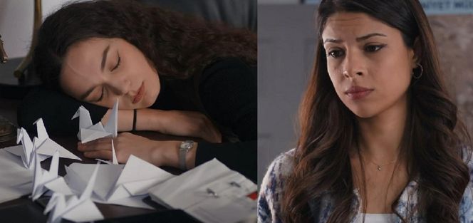 Dziedzictwo, odcinek 659. Nana, Ayse