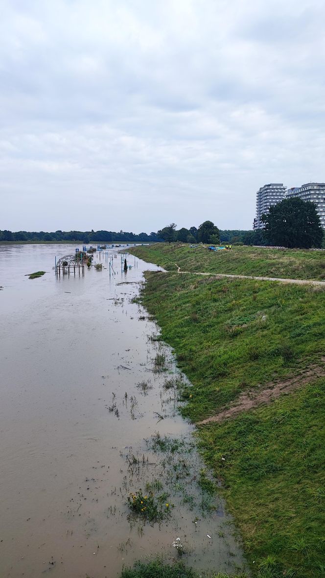 Fala powodziowa we Wrocławiu. Pod wodą są już beach bary i drogi 