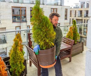 Jesienna metamorfoza balkonu