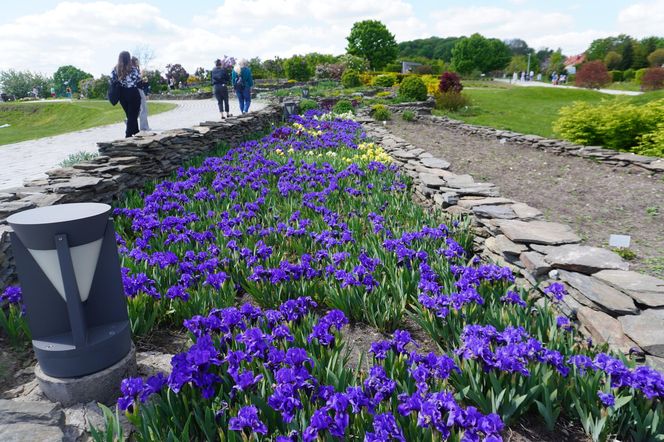 Ogród Botaniczny w Kielcach