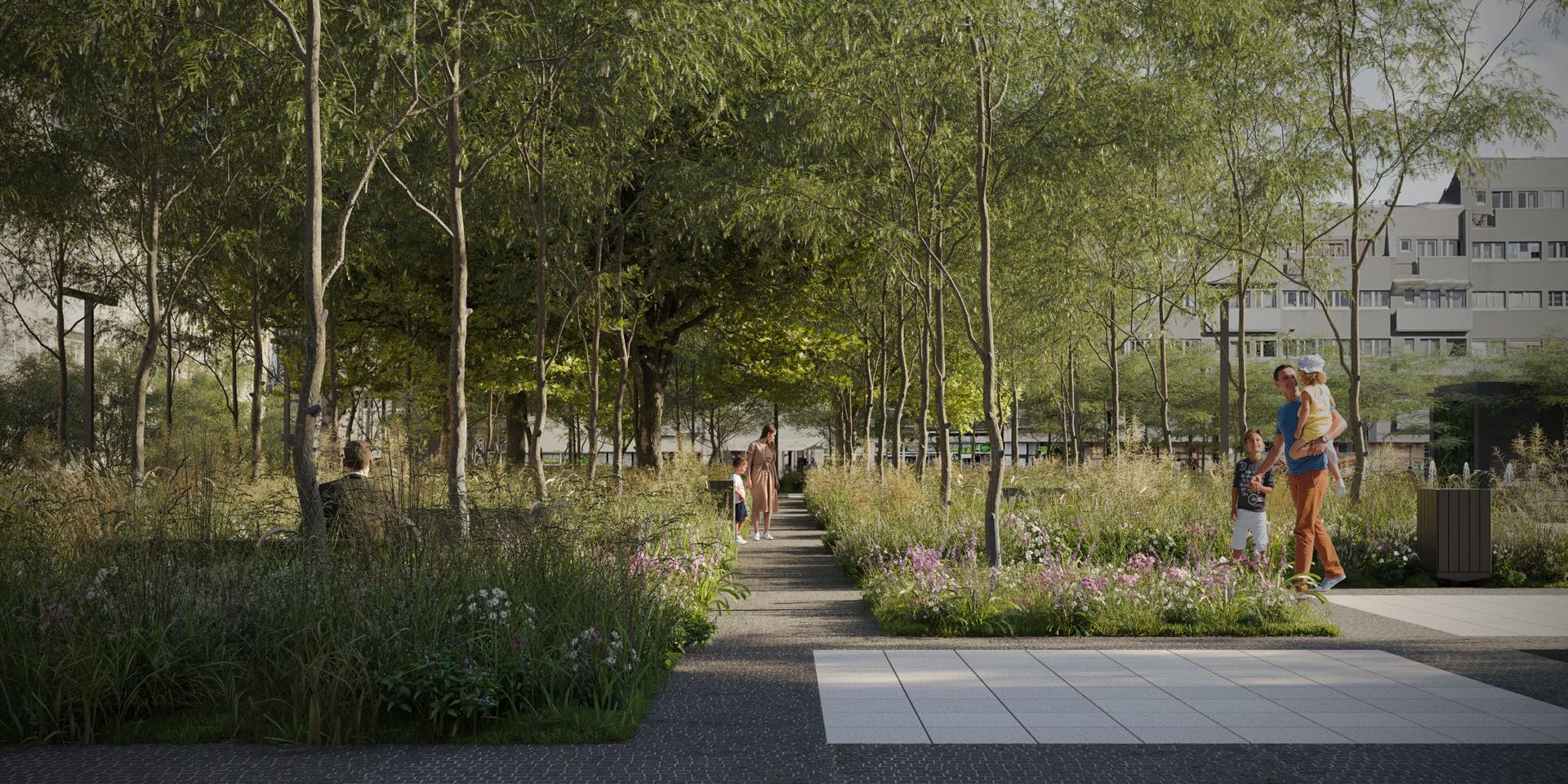 Plac Nowy Targ we Wrocławiu