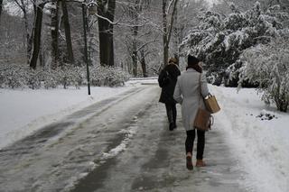 Pierwszy śnieg w Ogrodzie Saskim w Lublinie w tym sezonie!