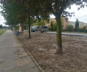 Park kieszonkowy w Siedlcach