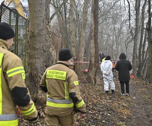Wielka akcja policji w Nowym Dworze Mazowieckim. Znaleziono ludzkie szczątki