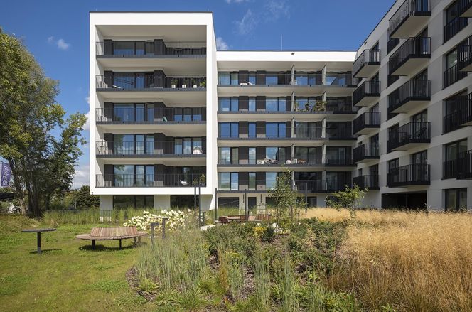 Lipska 16 w Krakowie