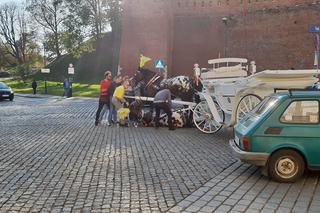 Kraków: Koń ciągnący dorożkę upadł pod Wawelem. Po chwili wrócił do pracy [ZDJĘCIA]