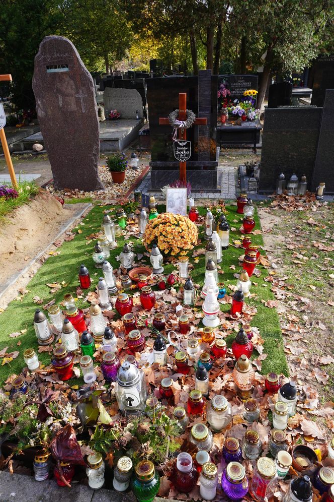 Grób Stanisława Sojki