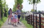 Pomysł na wycieczkę niedaleko Lublina? Zoo w Wojciechowie to idealny kierunek!
