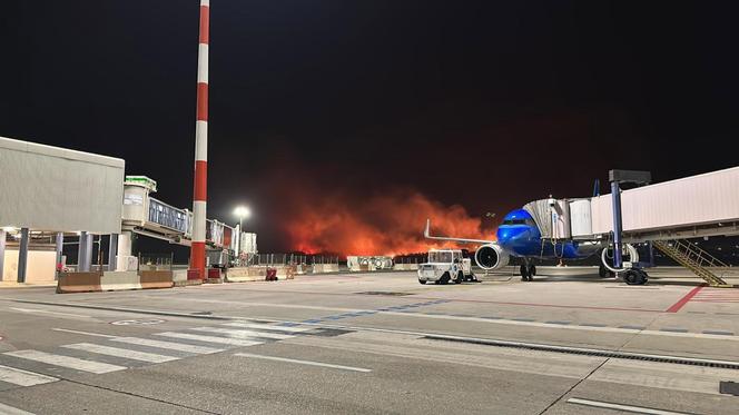 Pożary na Sycylii we Włoszech 