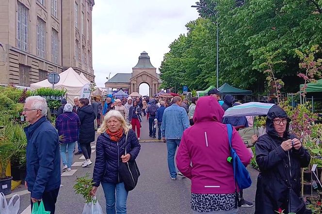 Kiermasz "Pamiętajcie o ogrodach"
