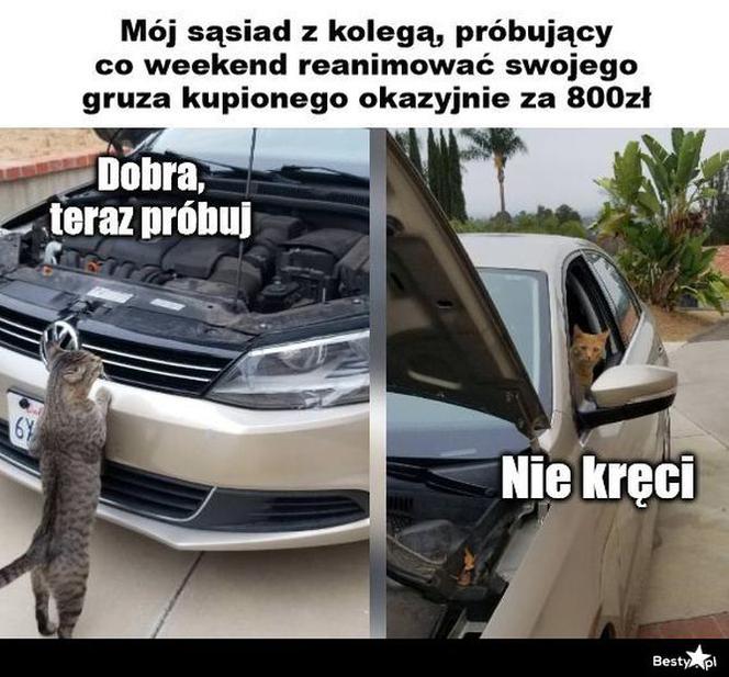 Memy o samochodach