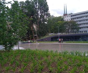 Park centralny w Gdyni. Atrakcje dla dzieci i dorosłych