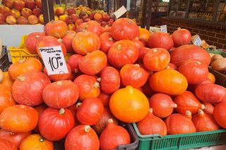 Ceny dyni 2025 na Nowym Kleparzu i Starym Kleparzu w Krakowie