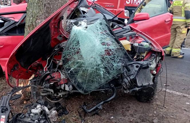 Wypadek z jak z koszmaru pod Człuchowem! 39-latek zginął w zmasakrowanym audi [ZDJĘCIA]