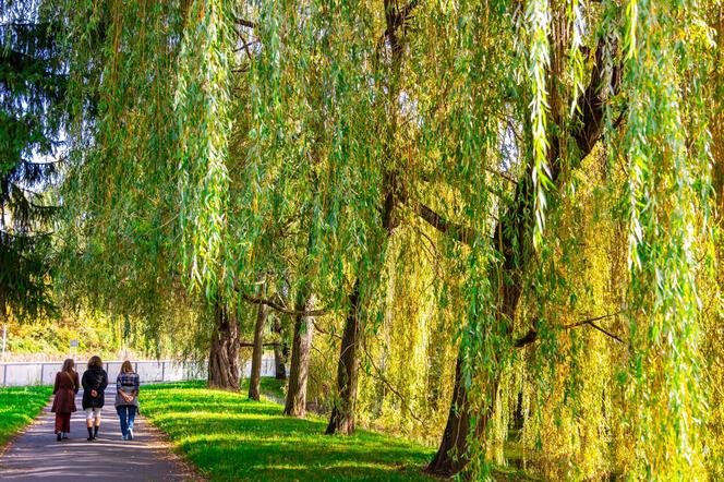 Park Fosa i Stoki Cytadeli w Warszawie