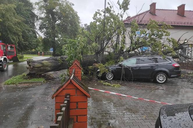Drzewo spadło na samochód w Żorach