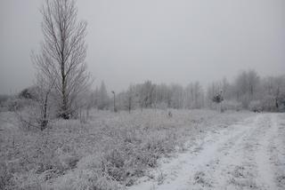 Zima da o sobie znać - przed nami opady śniegu, wiatr i spadek temperatury 