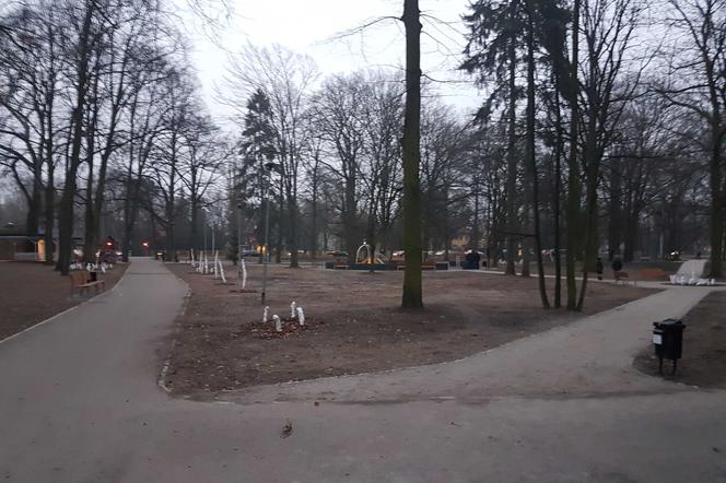 To najpiękniejszy park na Pogodnie! Jak wygląda park im. Łyczywka po przebudowie? [ZDJĘCIA]