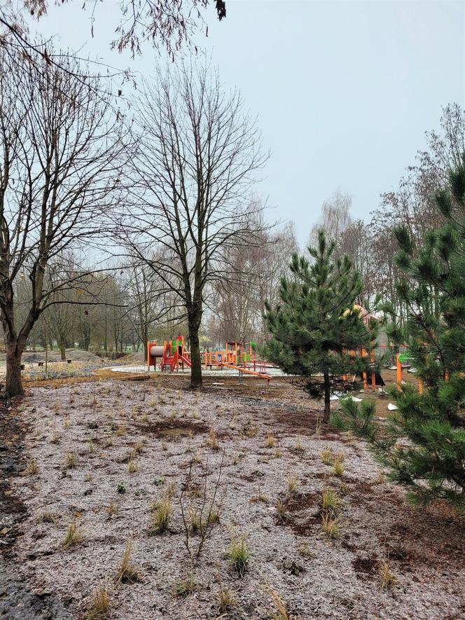 W mieście będzie jeszcze bardziej zielono. Trwają prace w krakowskich parkach