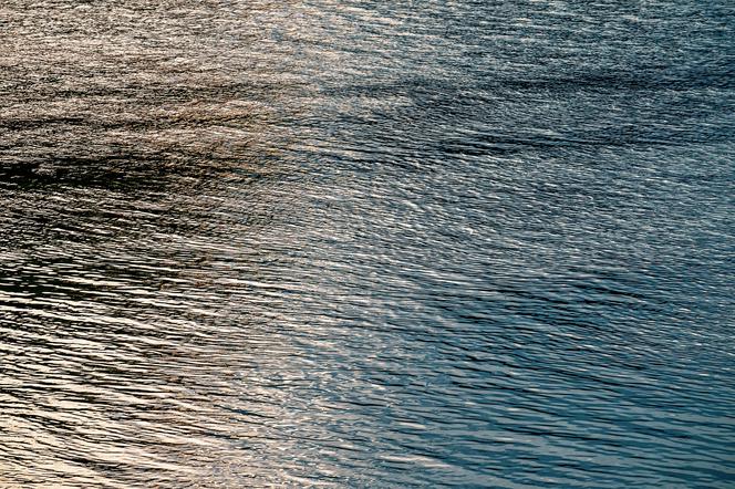 Z Wisły wyłowiono dwa ciała. Wiadomo już, kim byli mężczyźni