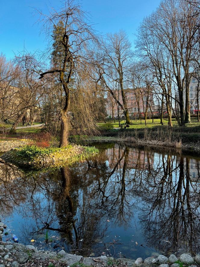 Najstarszy park w Lublinie ma już 187 lat! "Sas" był w Lublinie od zawsze