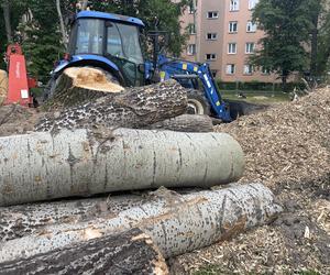 Protest mieszkańców przeciwko wycince drzew pod budowę linii tramwajowej do Mistrzejowic.