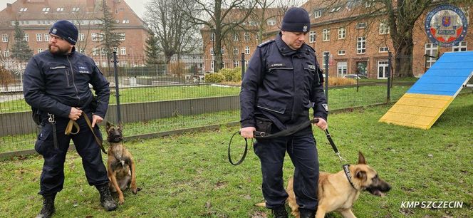 Nowe psy w zachodniopomorskiej policji