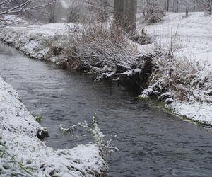 Zima w Świętokrzyskiem. Skarżysko-Kamienna (22.11.2024)