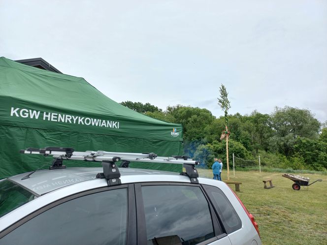 Postawili "majowe drzewko". Impreza integracyjna w Henrykowie koło Leszna