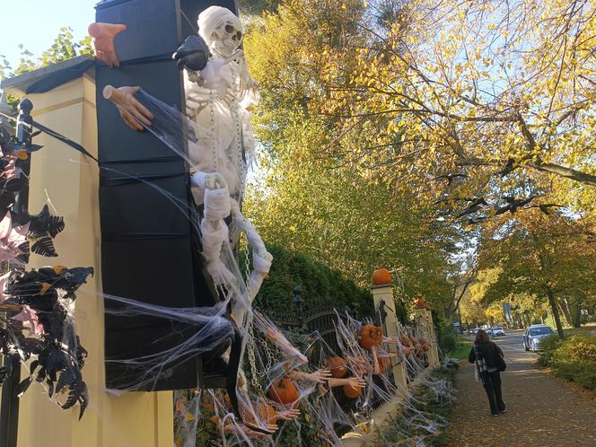 Willa na Jaśkowej Dolinie w Gdańsku znów straszy! Tegoroczny motyw Halloween budzi niepokój