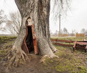 Odwiedziłam słynną Chatkę Puchatka na Śląsku 