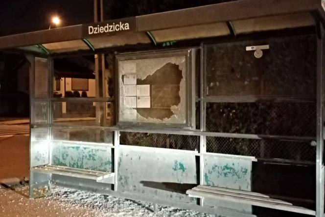 Poznań: Nocny akt wandalizmu! Zniszczone wiaty przystankowe i nie tylko!
