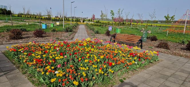 Park Miododajny w Liskowie