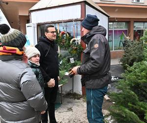 Morawiecki kupuje choinkę na święta