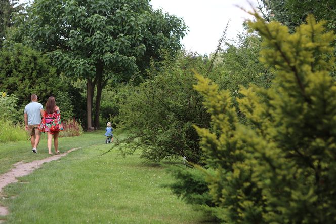 Kwitnący Ogród Botaniczny UMCS w Lublinie
