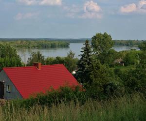 Podnosi się poziom Wisły - Kucerz koło Włocławka