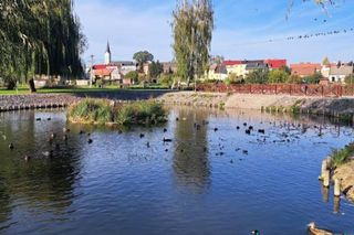 Grajewo w woj. podlaskim