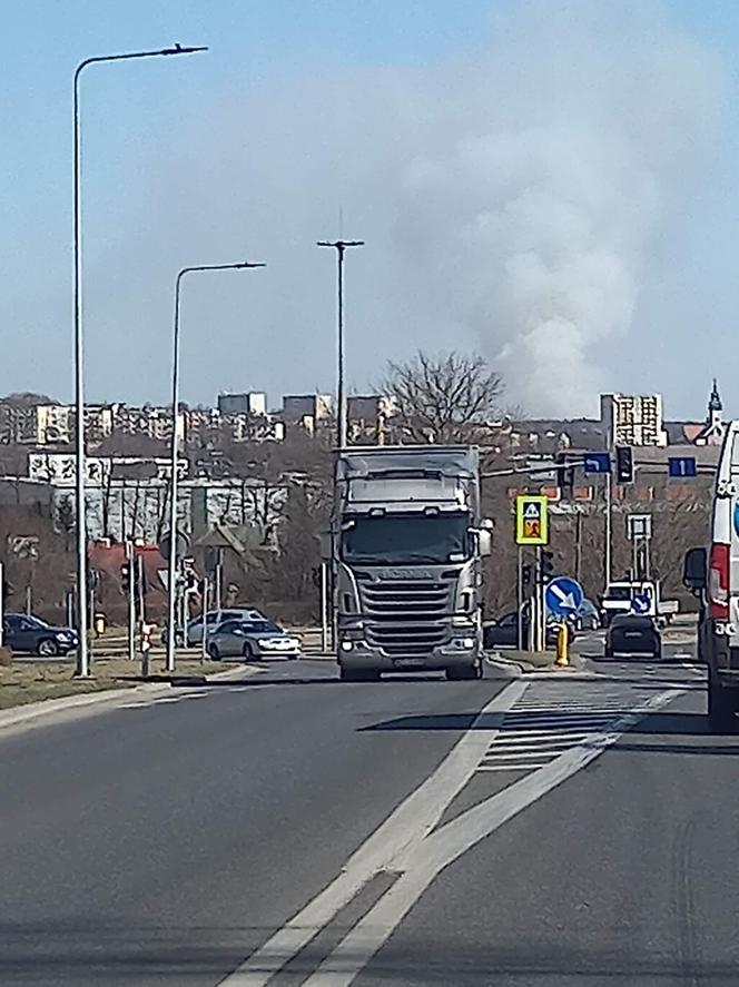 Spłonęły 34 hektary! 150 strażaków gasiło pożar traw w Brodach