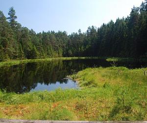 Wigierski Park Narodowy. To bezcenny obszar podlaskiej natury