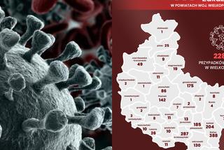 Koronawirus w Wielkopolsce. Zobacz, ile osób WYZDROWIAŁO [RAPORT]
