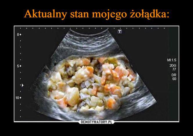 Wielkanoc 2022 - najlepsze memy