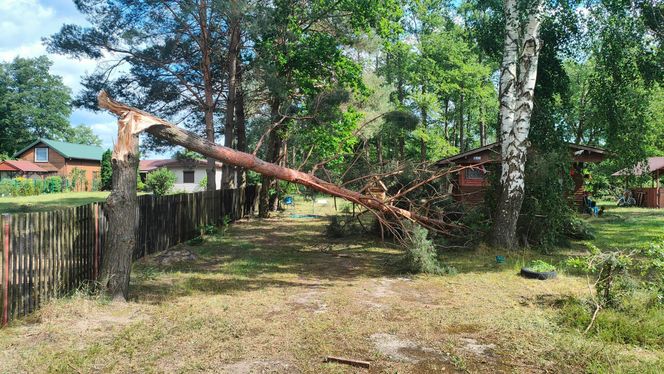Burze nad województwem łódzkim. Strażacy interweniowali blisko 240 razy