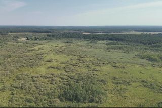 Nowe rezerwaty przyrody w woj. lubelskim 2025