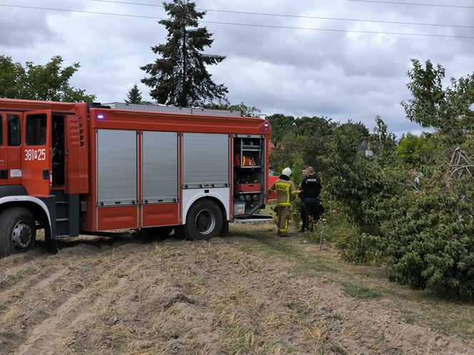Awionetka spadła na ziemię w Wielkopolsce. Dwie osoby nie żyją